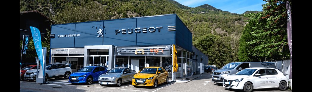 PEUGEOT MOÛTIERS