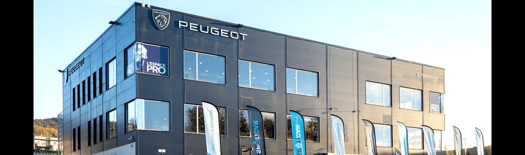 PEUGEOT SEYNOD