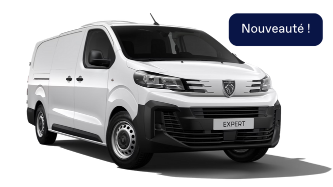 e-Expert