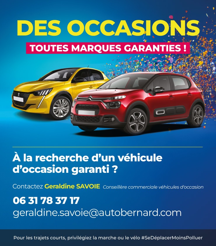 Des occasion toutes marques garanties