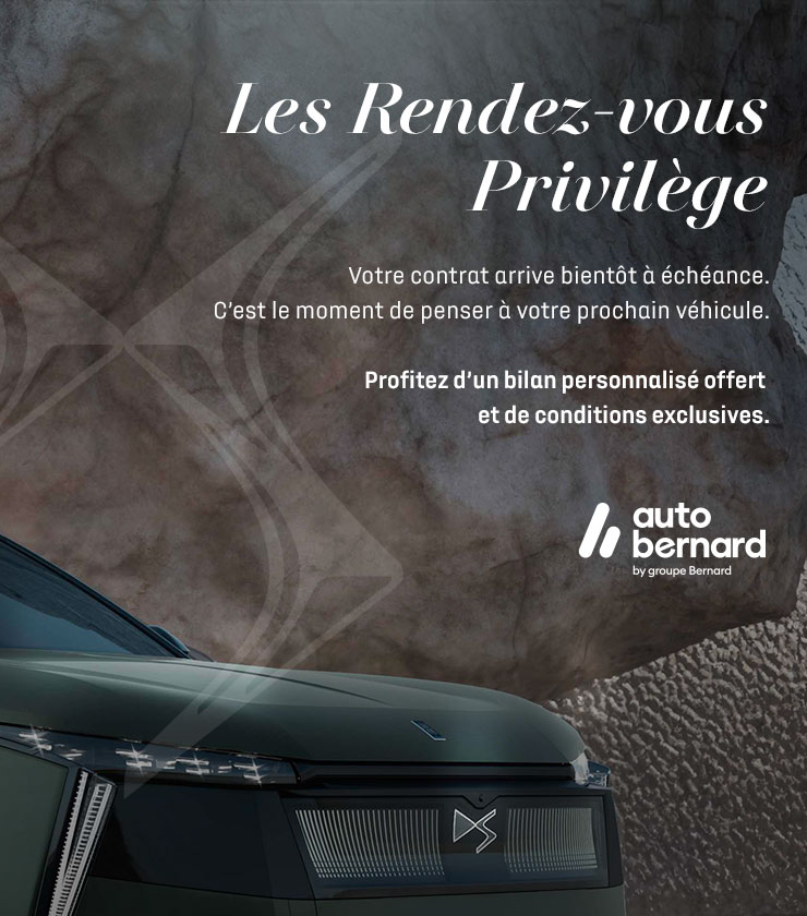 ds-privilege