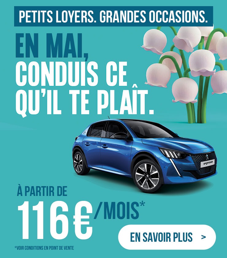 peugeot-208-autobernard